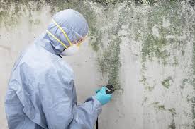 Professional Mold Prevention & Removal  in Earlimart, CA